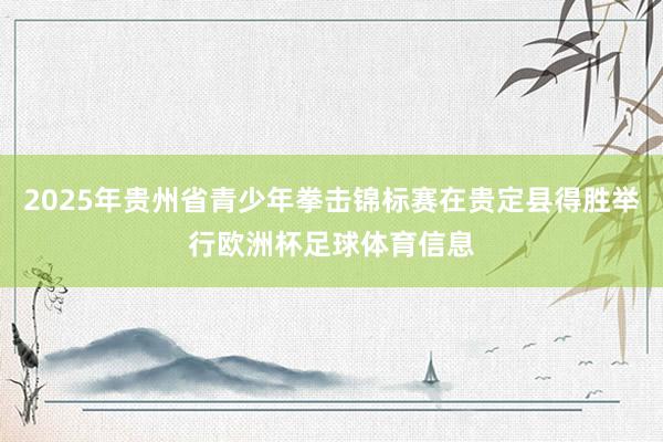 2025年贵州省青少年拳击锦标赛在贵定县得胜举行欧洲杯足球体育信息
