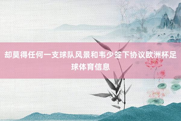 却莫得任何一支球队风景和韦少签下协议欧洲杯足球体育信息