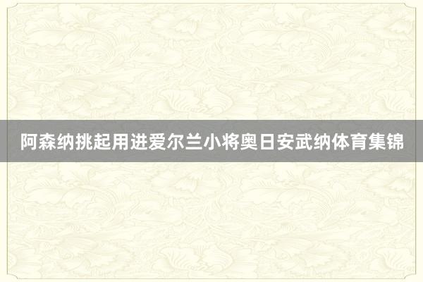 阿森纳挑起用进爱尔兰小将奥日安武纳体育集锦