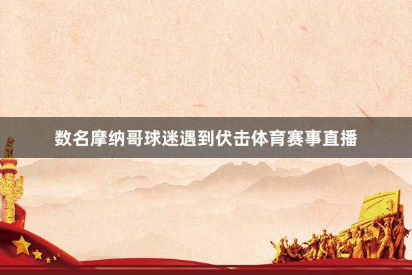 数名摩纳哥球迷遇到伏击体育赛事直播