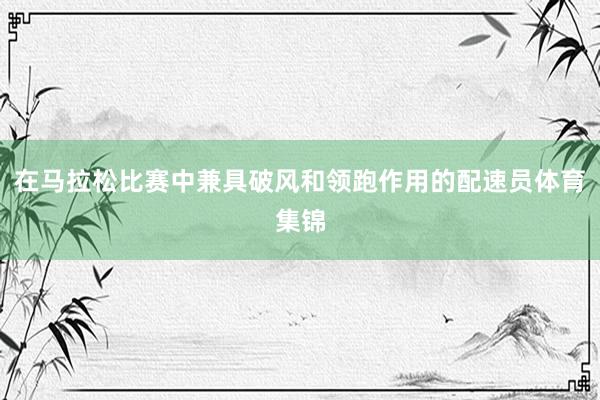 在马拉松比赛中兼具破风和领跑作用的配速员体育集锦