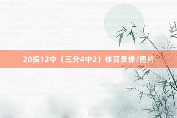 20投12中（三分4中2）体育录像/图片