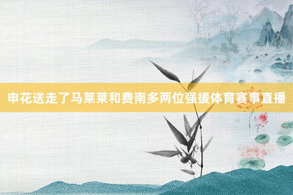 申花送走了马莱莱和费南多两位强援体育赛事直播