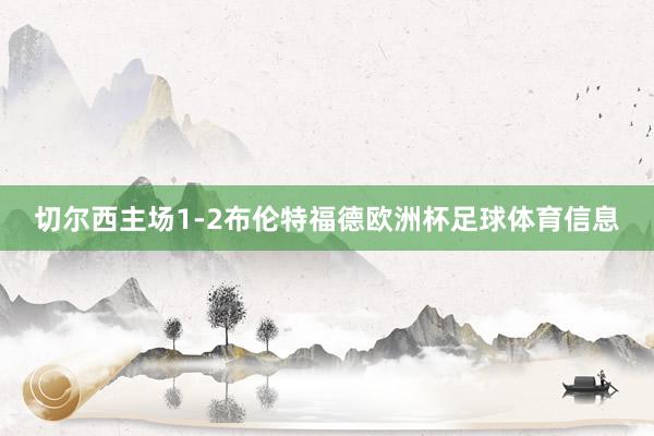 切尔西主场1-2布伦特福德欧洲杯足球体育信息
