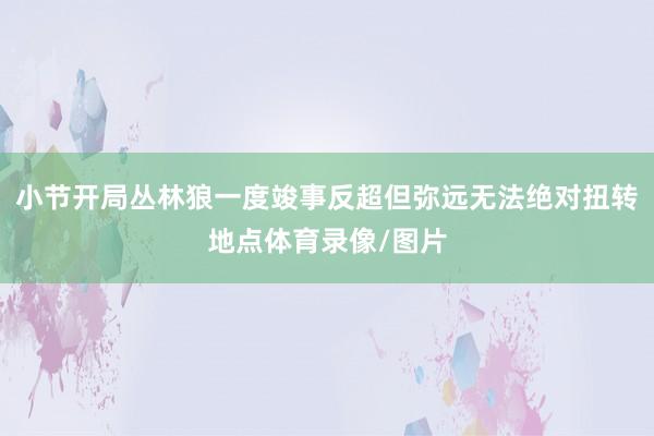 小节开局丛林狼一度竣事反超但弥远无法绝对扭转地点体育录像/图片