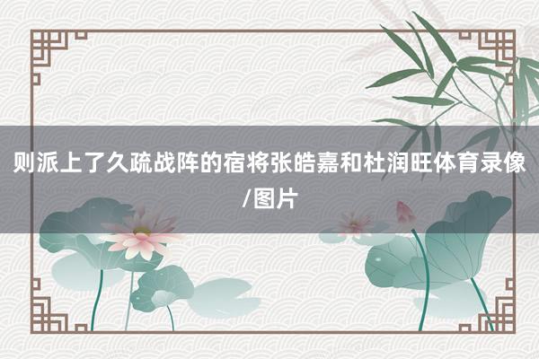 则派上了久疏战阵的宿将张皓嘉和杜润旺体育录像/图片