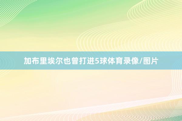 加布里埃尔也曾打进5球体育录像/图片