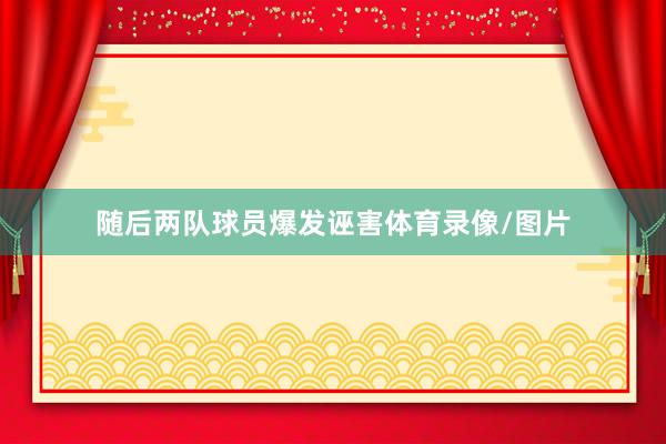 随后两队球员爆发诬害体育录像/图片