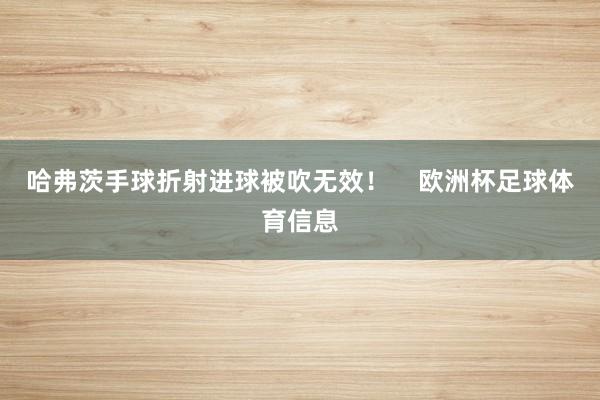 哈弗茨手球折射进球被吹无效！    欧洲杯足球体育信息