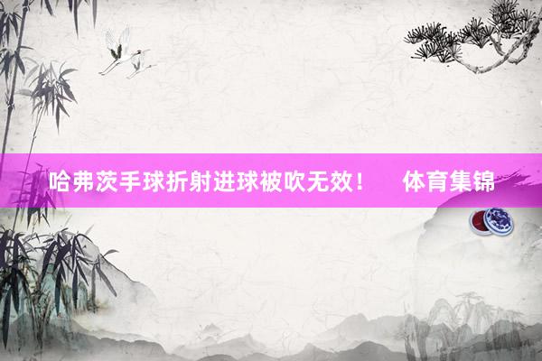 哈弗茨手球折射进球被吹无效！    体育集锦