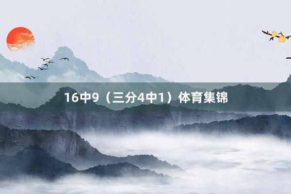 16中9（三分4中1）体育集锦