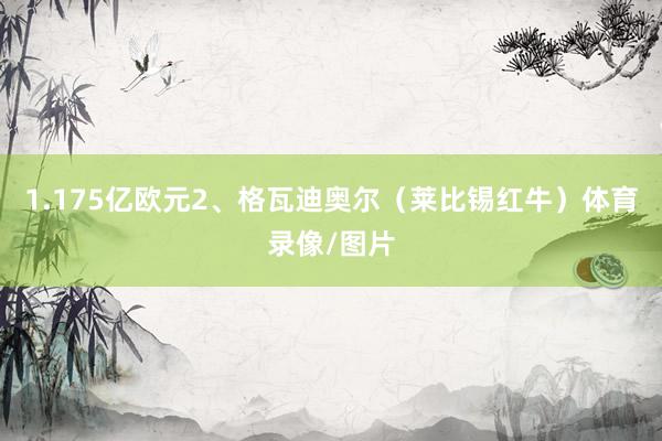 1.175亿欧元2、格瓦迪奥尔（莱比锡红牛）体育录像/图片
