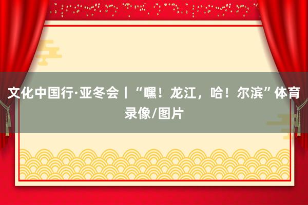 文化中国行·亚冬会丨“嘿！龙江，哈！尔滨”体育录像/图片