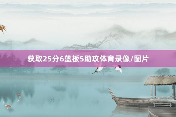 获取25分6篮板5助攻体育录像/图片