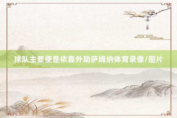 球队主要便是依靠外助萨姆纳体育录像/图片