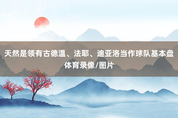 天然是领有古德温、法耶、迪亚洛当作球队基本盘体育录像/图片
