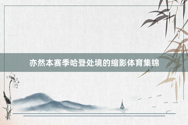 亦然本赛季哈登处境的缩影体育集锦