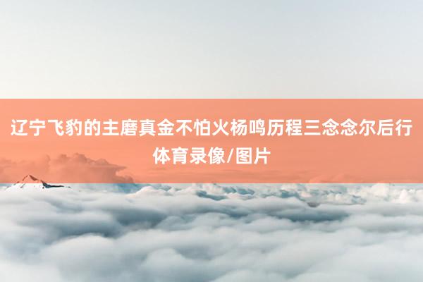 辽宁飞豹的主磨真金不怕火杨鸣历程三念念尔后行体育录像/图片