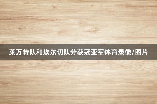 莱万特队和埃尔切队分获冠亚军体育录像/图片