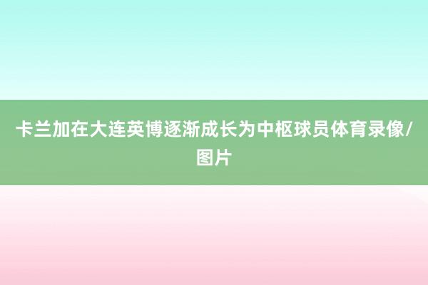 卡兰加在大连英博逐渐成长为中枢球员体育录像/图片