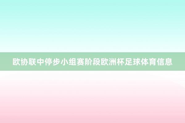 欧协联中停步小组赛阶段欧洲杯足球体育信息