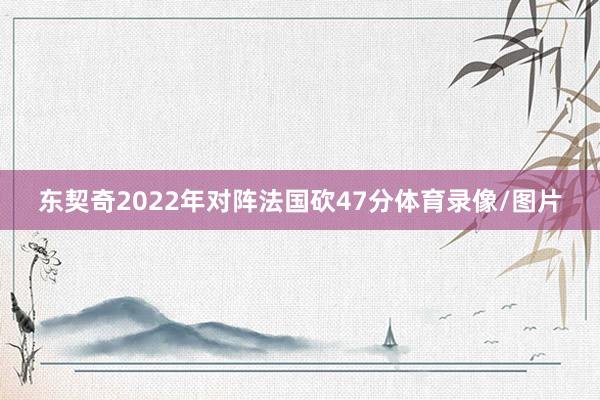 东契奇2022年对阵法国砍47分体育录像/图片
