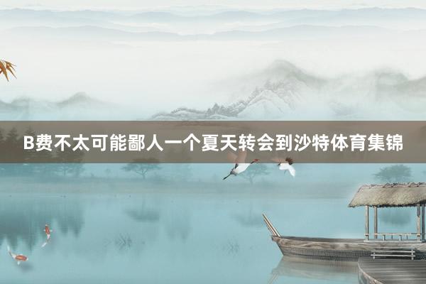 B费不太可能鄙人一个夏天转会到沙特体育集锦