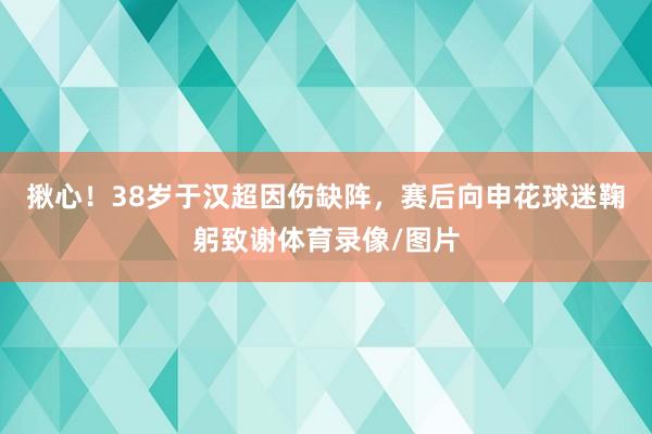 揪心!38岁于汉超因伤缺阵,赛后向申花球迷鞠躬致谢体育录像/图片