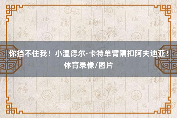 你挡不住我！小温德尔·卡特单臂隔扣阿夫迪亚！体育录像/图片