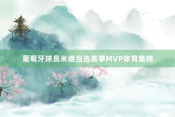 葡萄牙球员米德当选赛事MVP体育集锦