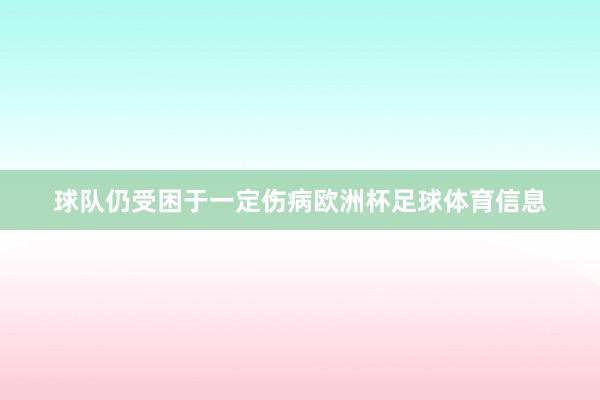 球队仍受困于一定伤病欧洲杯足球体育信息