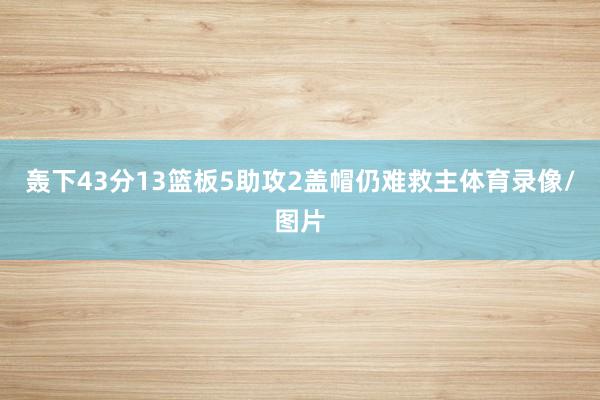 轰下43分13篮板5助攻2盖帽仍难救主体育录像/图片