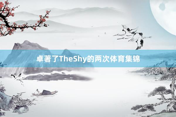 卓著了TheShy的两次体育集锦