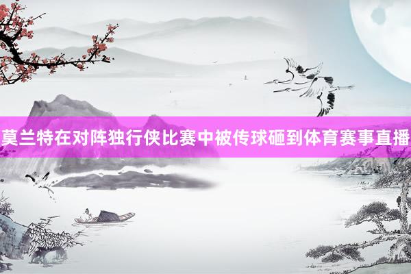 莫兰特在对阵独行侠比赛中被传球砸到体育赛事直播