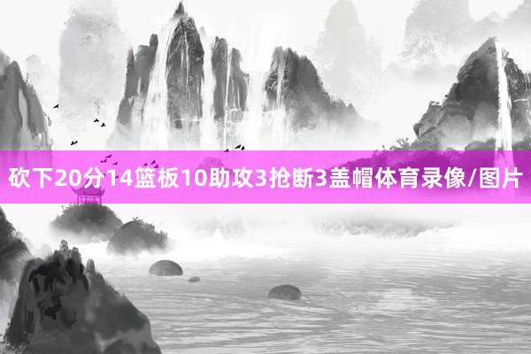 砍下20分14篮板10助攻3抢断3盖帽体育录像/图片