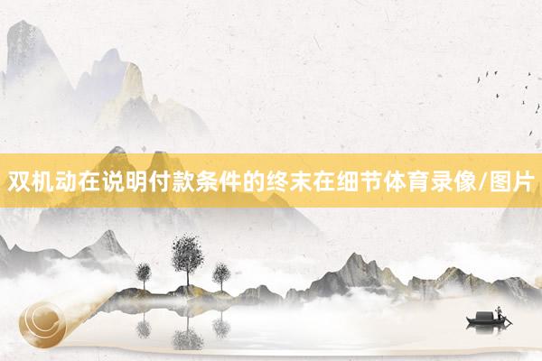 双机动在说明付款条件的终末在细节体育录像/图片