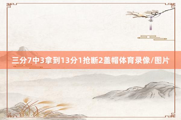 三分7中3拿到13分1抢断2盖帽体育录像/图片