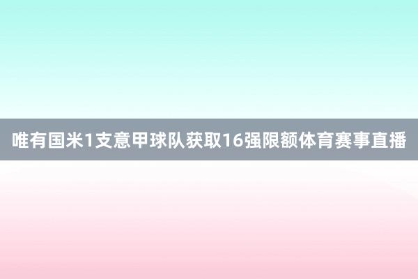 唯有国米1支意甲球队获取16强限额体育赛事直播