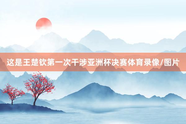 这是王楚钦第一次干涉亚洲杯决赛体育录像/图片