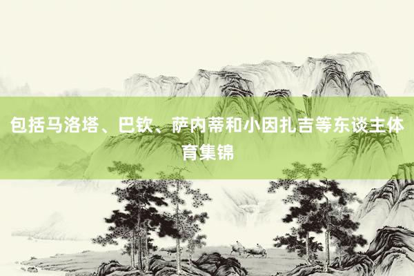 包括马洛塔、巴钦、萨内蒂和小因扎吉等东谈主体育集锦