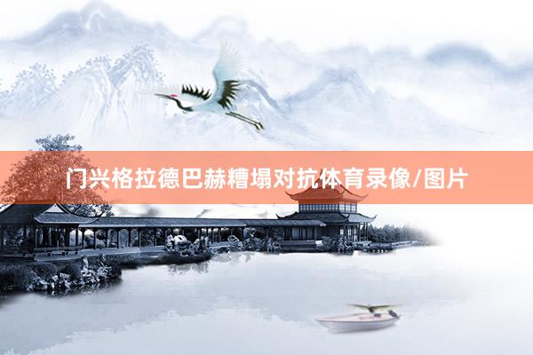 门兴格拉德巴赫糟塌对抗体育录像/图片