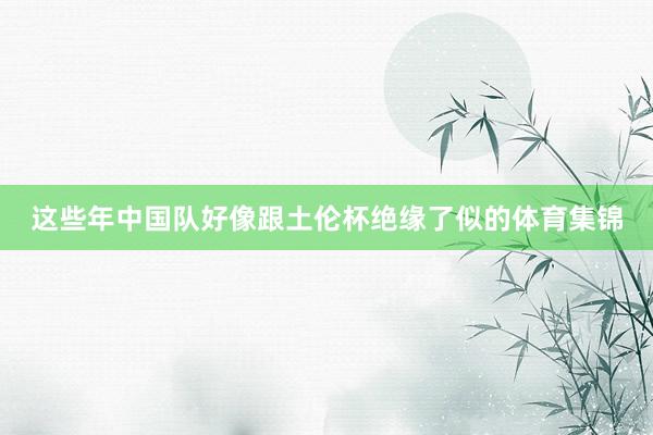 这些年中国队好像跟土伦杯绝缘了似的体育集锦