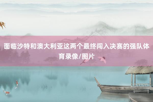 面临沙特和澳大利亚这两个最终闯入决赛的强队体育录像/图片