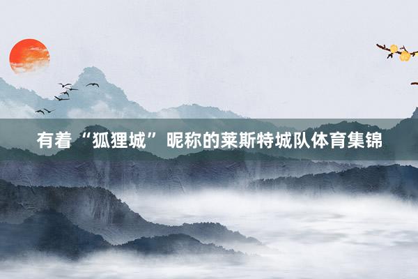 有着 “狐狸城” 昵称的莱斯特城队体育集锦