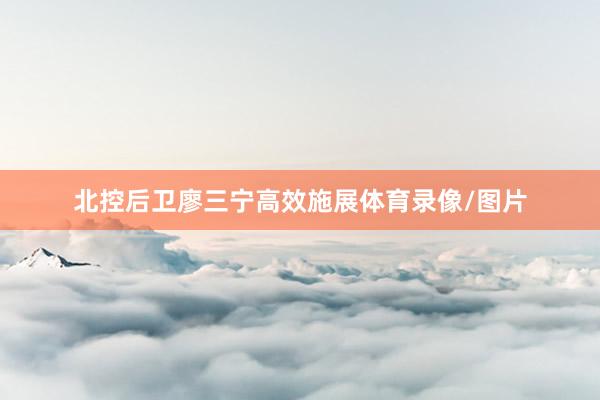 北控后卫廖三宁高效施展体育录像/图片