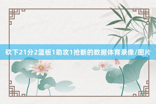 砍下21分2篮板1助攻1抢断的数据体育录像/图片