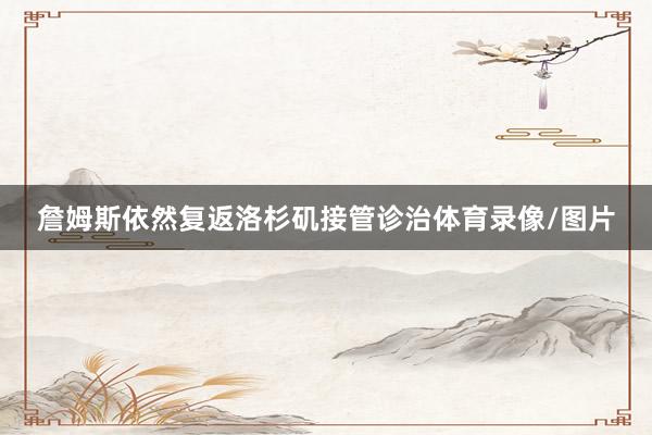 詹姆斯依然复返洛杉矶接管诊治体育录像/图片