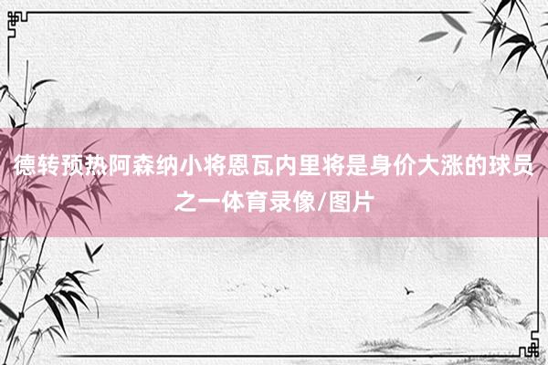 德转预热阿森纳小将恩瓦内里将是身价大涨的球员之一体育录像/图片