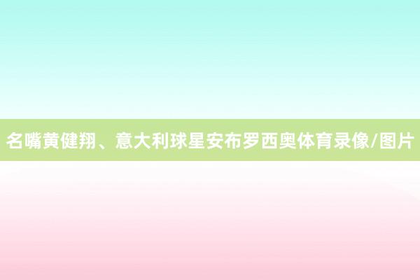 名嘴黄健翔、意大利球星安布罗西奥体育录像/图片