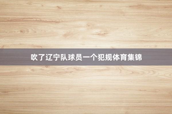 吹了辽宁队球员一个犯规体育集锦